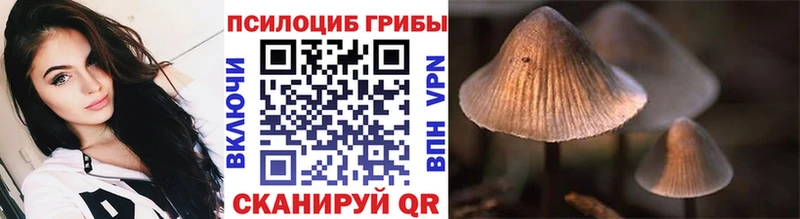 Псилоцибиновые грибы Magic Shrooms  Купить закладки  Сусуман 